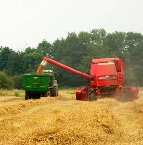 farm008