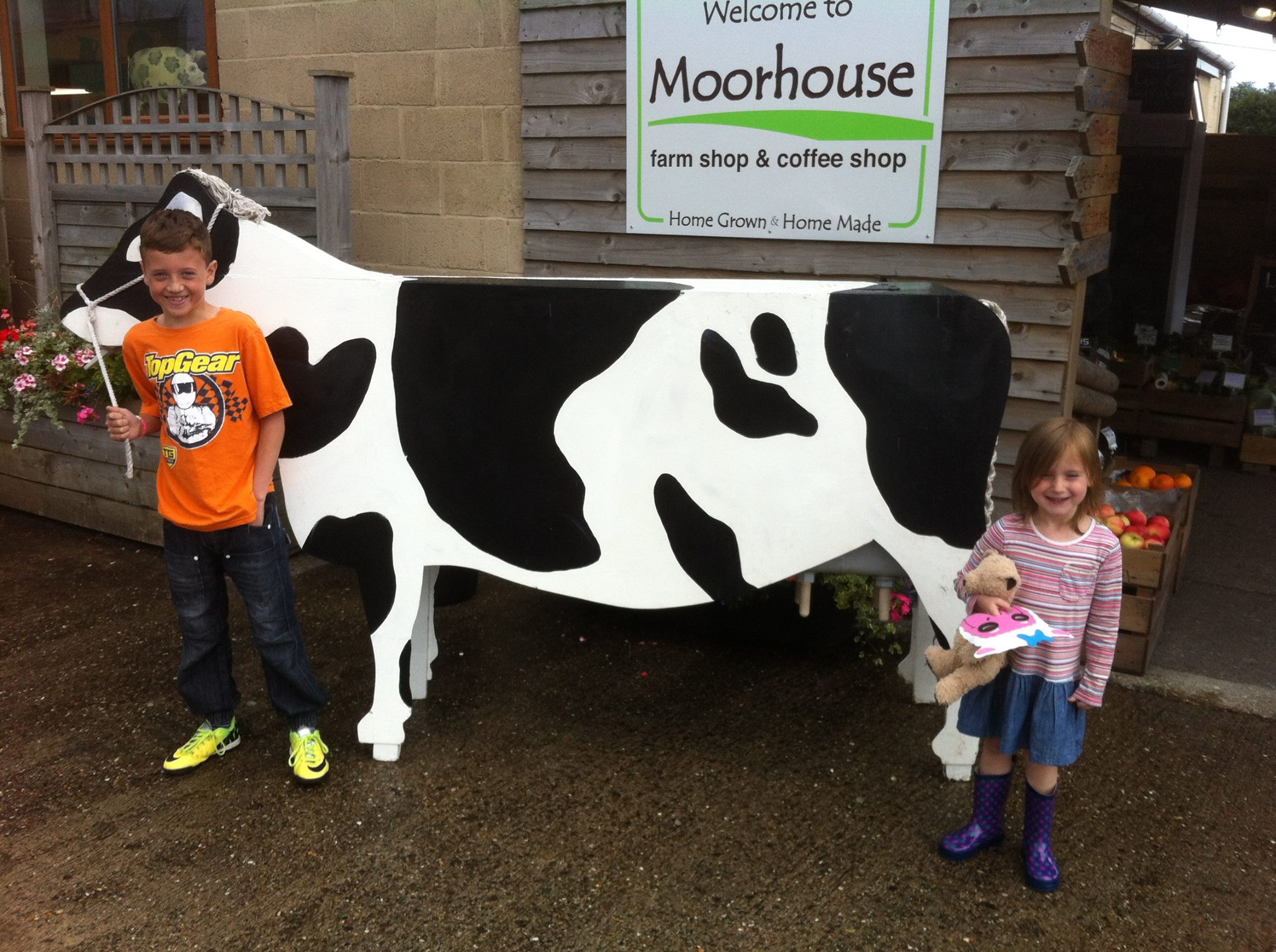 kids-cow