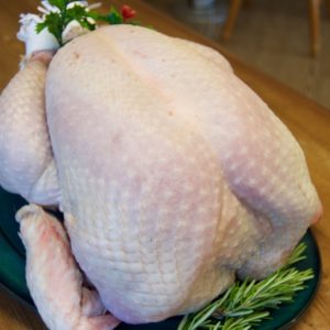 Turkey and other poultry