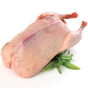 Duck (various weights)